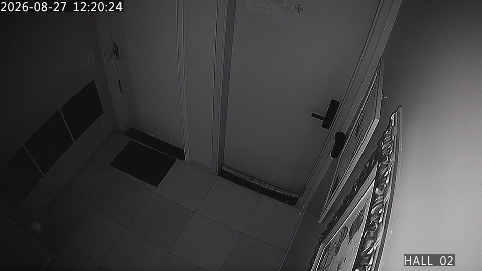 Último quadro de Câmera 01 RTSP Media Connect